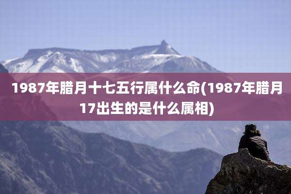 1987年腊月十七五行属什么命(1987年腊月17出生的是什么属相)
