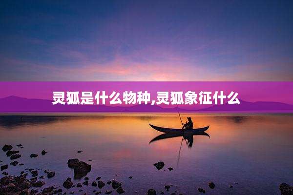 灵狐是什么物种,灵狐象征什么