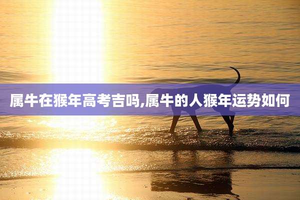 属牛在猴年高考吉吗,属牛的人猴年运势如何