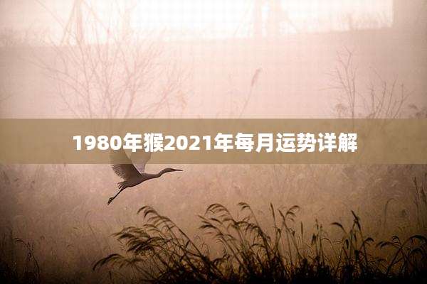 1980年猴2021年每月运势详解