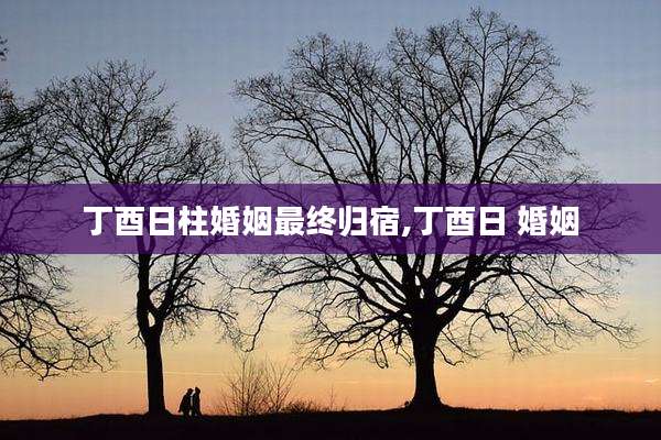丁酉日柱婚姻最终归宿,丁酉日 婚姻