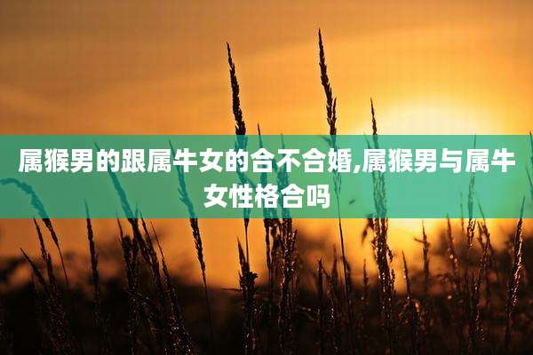 属猴男的跟属牛女的合不合婚,属猴男与属牛女性格合吗
