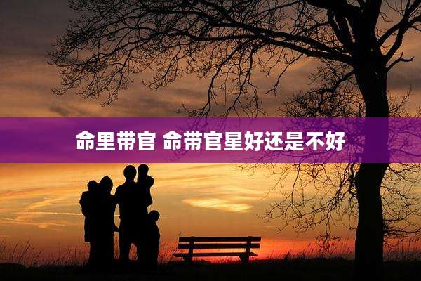 命里带官 命带官星好还是不好