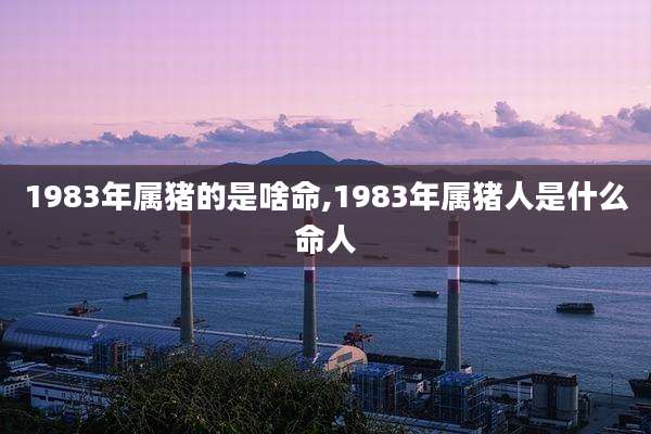 1983年属猪的是啥命,1983年属猪人是什么命人