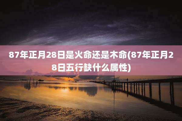 87年正月28日是火命还是木命(87年正月28日五行缺什么属性)