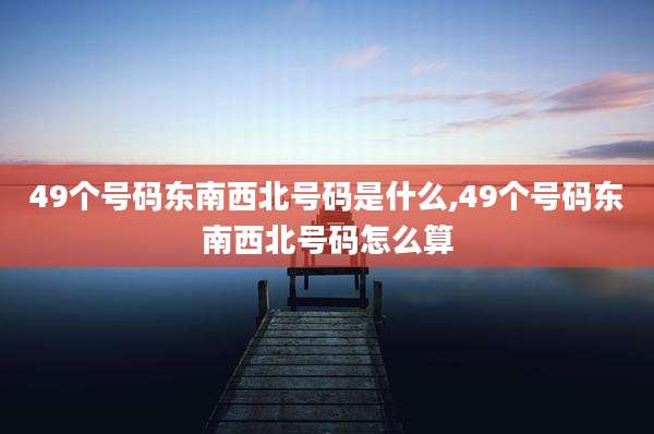 49个号码东南西北号码是什么,49个号码东南西北号码怎么算