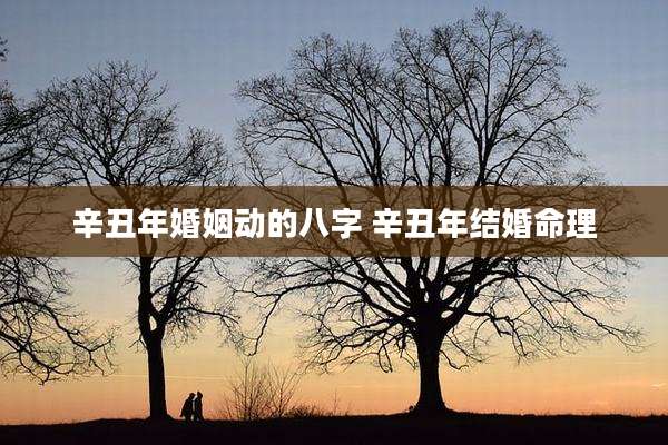 辛丑年婚姻动的八字 辛丑年结婚命理