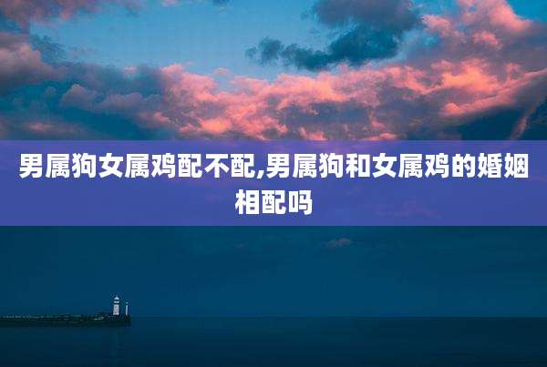 男属狗女属鸡配不配,男属狗和女属鸡的婚姻相配吗