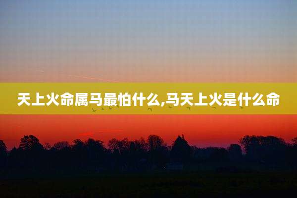 天上火命属马最怕什么,马天上火是什么命