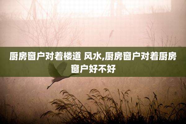 厨房窗户对着楼道 风水,厨房窗户对着厨房窗户好不好