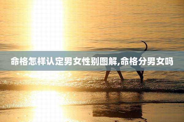 命格怎样认定男女性别图解,命格分男女吗