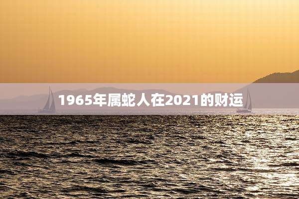 1965年属蛇人在2021的财运
