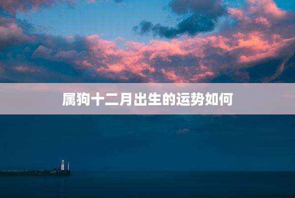 属狗十二月出生的运势如何