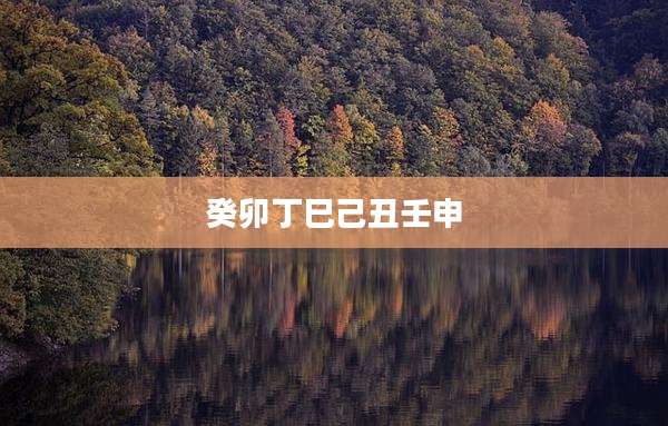 癸卯丁巳己丑壬申