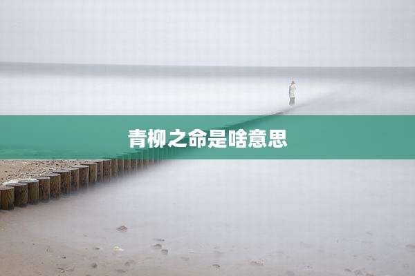 青柳之命是啥意思