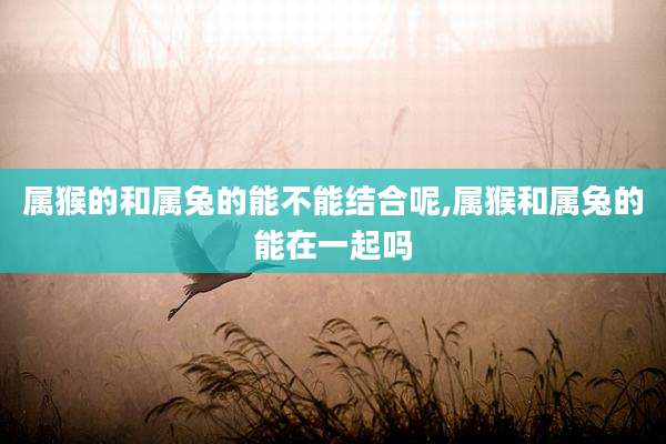 属猴的和属兔的能不能结合呢,属猴和属兔的能在一起吗