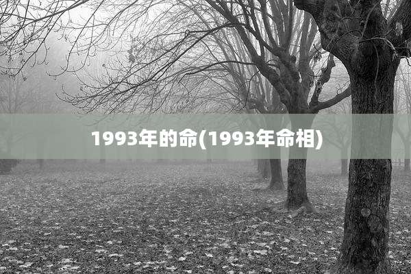 1993年的命(1993年命相)