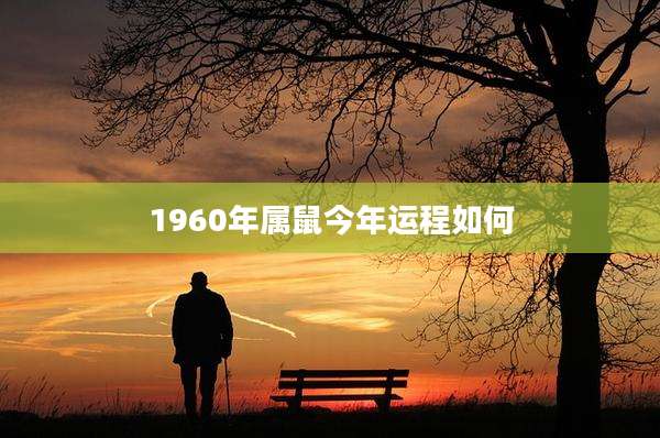 1960年属鼠今年运程如何
