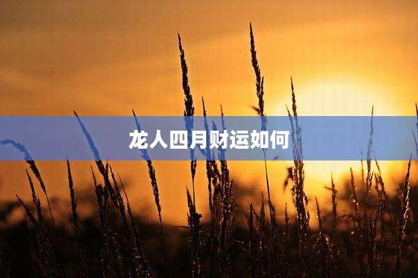 龙人四月财运如何