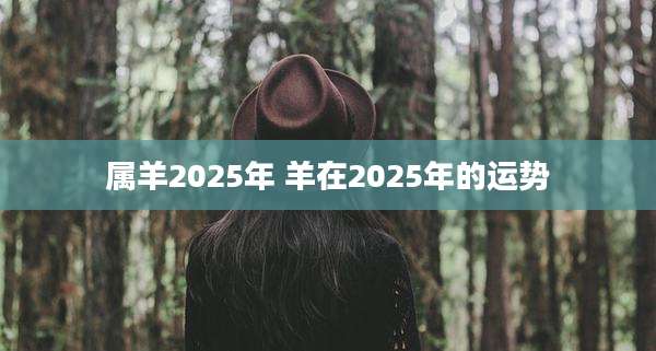 属羊2025年 羊在2025年的运势
