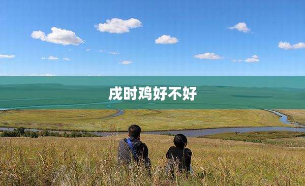 戌时鸡好不好