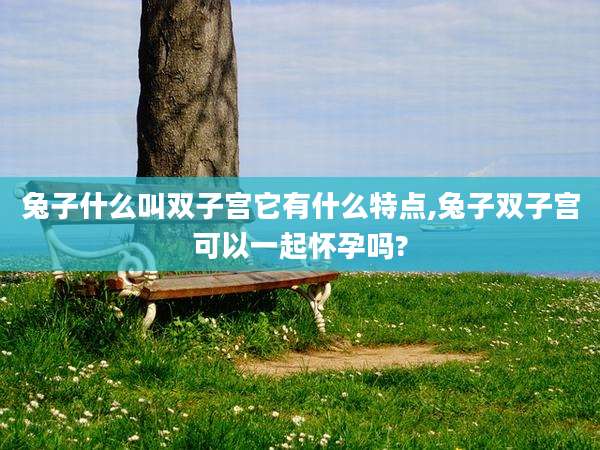 兔子什么叫双子宫它有什么特点,兔子双子宫可以一起怀孕吗?